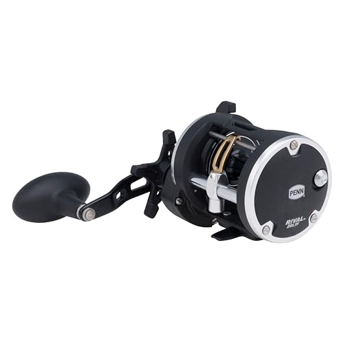 Image of PENN Rival Level Wind Conventional Fishing Reel