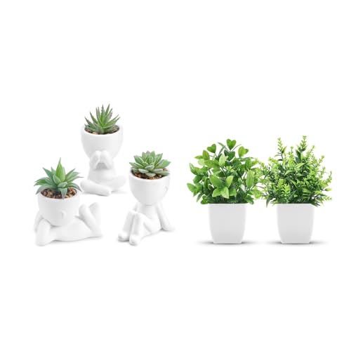 Der Rose Bundle of 3 Pack Succulents Plants and 2 Pack Fake Plants for Bathroom Bedroom Home Room Decor Aesthetic Indoor