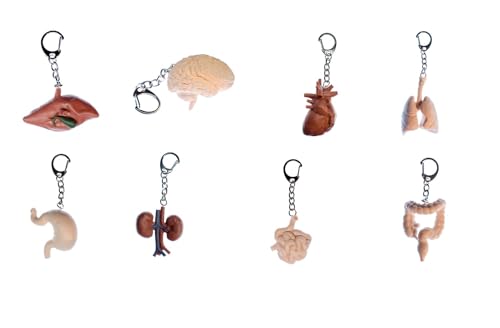 Porte-clés intestin et rein, le cadeau idéal pour étudiant en médecine