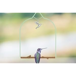 Pop's Birding Hummingbird Swing, USA Made Original Charm Humming Bird Swing for Outdoors - Perfect Bird Perch for Small Wild Birds Backyard Birding - 100% Made in USA, Hook Included Pops Birding Hummingbird Swing USA Made Original Charm Humming Bird Swing for Outdoors Perfect Bird Perch for Small Wild Birds Backyard Birding 100 Made in USA Hook Included