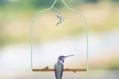 Pops-Birding-Hummingbird-Swing-USA-Made-Original-Charm-Humming-Bird-Swing-for-Outdoors-Perfect-Bird-Perch-for-Small-Wild-Birds-Backyard-Birding-100-Made-in-USA-Hook-Included Pops Birding Hummingbird Swing USA Made Original Charm Humming Bird Swing for Outdoors Perfect Bird Perch for Small Wild Birds Backyard Birding 100 Made in USA Hook Included