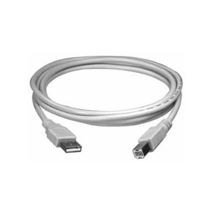 Ultra�X�y�b�N�P�[�u�� ? ����USB 2.0�v�����^�P�[�u�� ? A - to b-male 10 Feet �O���[ us-usb-a-b-10ft