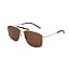 Ls1008 Gold Frame (Glossy Finish) / Polarized Brown Lens