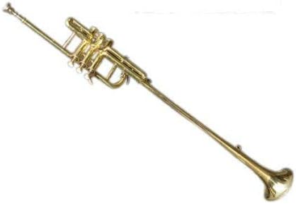 SAI MUSICAL Flag Trompeta Ultimate Shinning Latón con estuche