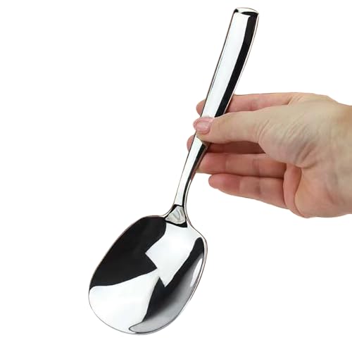 ZDFQly Large Serving Spoon, Premium 316L Stainless Steel Buffet Serving Spoon 9.5 Inch (1pack)