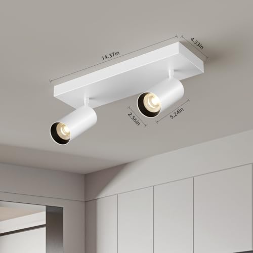 Image of Spotlight Indoor Ceiling LED Light,2 Lights 40W Modern Spot Light Fixtures 4000K White Accent 300Adjustable Picture Painting For Living Room Bedroom Hallway Gallery Flush Mount Directional Lighting