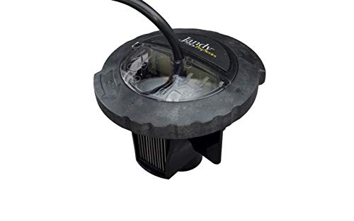 Jandy R0693900 TruClear Salt Cell Assembly, Black