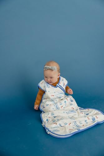 Image of Copper Pearl Baby Sleep Sack, The Polar Express - Wearable Blanket for 0-6 Months, Sleeveless Sleep Sack for Baby Boy or Girl