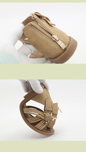 Women's Fashion Open Toe Sandals Gladiator Strappy Flat Sandals Back Zip Up Sandals Summer Beach3