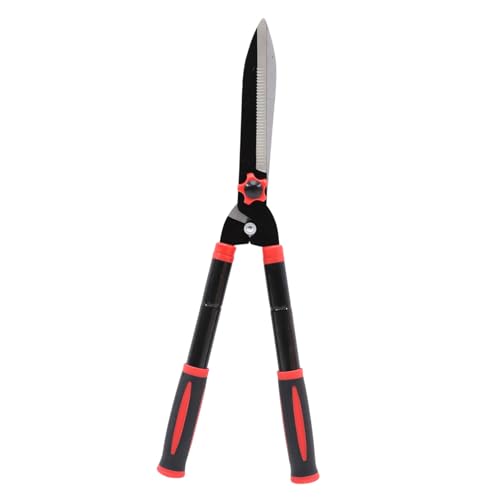 OFFSCH Kтɂ|LkK[fNbp[ Kȃo[Obvt Ռz݌vŐ_  A؂̙