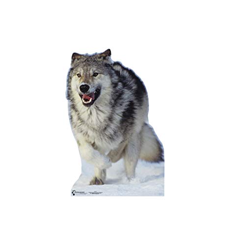 Image of Cardboard People Wolf Life Size Cardboard Cutout Standup