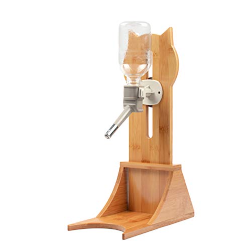 Best Dog Water Bottle For Standing And Keeping Your Pet Hydrated On The Go