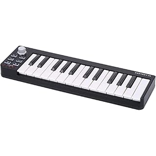 WKLIANGYUANPING Clavier de Piano 25 Mini 25 Portables USB MIDI Clavier de Piano contrôleur électronique - Les Beatles, Paul McCartney, John Lennon, RIngo Starr, George Harrison