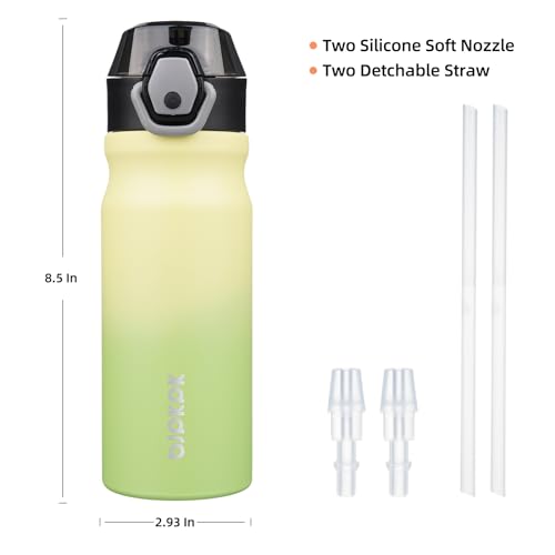 Image of BJPKPK 18 oz Water Bottle with Straw & Handle, Insulated Stainless Flask | Leak Proof Locking Lid, Thermal, Double Wall Vacuum, Keeps Hot /Cold, BPA Free, Dishwasher Safe, Travel & Sports, Lime