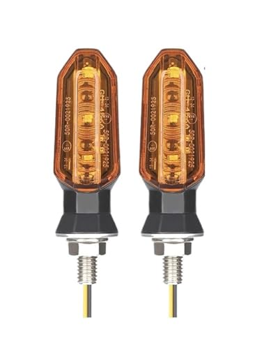 Clignotants LED Moto Lumière Clignotante Ambre MSX125 12V