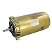 Hayward SPX1607Z1M Motor Replacement for Select Hayward Pump, 1.0 HP Maxrate Motor