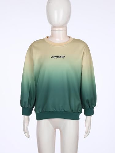 Boys Girls Gradient Color Hoodie Long Sleeve Crewneck Sweatshirt Comfortable Pullover Top3
