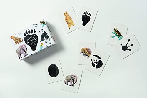 Match a Track: Match 25 Animals to Their Paw Prints