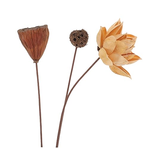 Tallos de loto seco para decoración zen miniatura 3