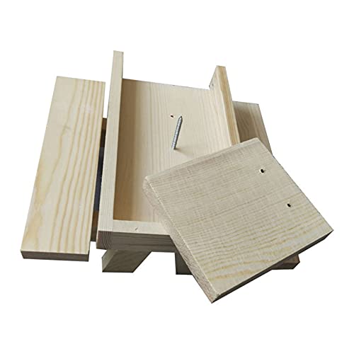 BLIBUNALA Voor eekhoorns eekhoorn picknick met maïs feeder houder tafel-picknick patio gazon & tuin feeder spel voor buiten (veelkleurig, één maat) - Image 8