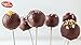 Chocolate Icing Glaze - 12 oz. Microwavable Melting Chocolate for Molds, for Decorating and Dipping Cakes, Cookies, and Pretzels, for Fondue and Strawberries - Dairy Free, Kosher - By Baker’s Choice