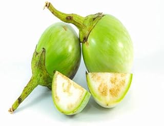 Semillas de berenjena, 40 piezas, color verde