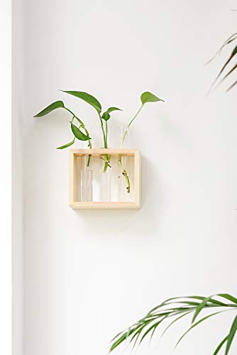 Mkono Wall Hanging Glass Planter Plant Terrarium Modern Flower Bud Vase In Wood Stand Rack Tabletop Terrarium For Propagating Hydropoinc Plants, Home Office Decoration With 3 Test Tube, Small, Beige #TOP3