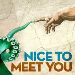 Nice to Meet You cover art
