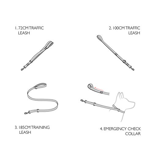 EzyDog Vario 4 Multi-function Dog Lead| 3-6 foot Adjustable Dog Lead, Purple