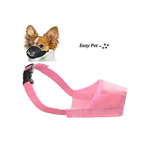 muzzle for toy poodle