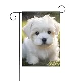 cuccioli maltese toy in regalo Design unico: la bandiera da giardino YYHHAOFA Cute Maltese Puppy Pattern all'esterno è double-face, visibile da entrambi i lati, e il testo viene letto correttamente da entrambi i lati. Il tessuto è trasparente, resistente alle intemperie e allo sbiadimento. Utilizzate le nostre bandiere decorative su entrambi i lati di alta qualità per illuminare i vostri spazi