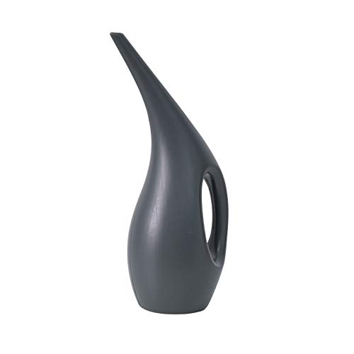 Nicoone Gießkanne,2,5 Liter Gartengießkanne aus Kunststoff für Innen und Außen,Blumengießkanne mit langem Auslauf für Haus, Garten,Blumen,Zimmerpflanzen