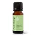 Plant Therapy Defender Blend 10 mL (1/3 oz) 100% Pure Undiluted Blend of Uplifting and Immune Supporting Essential Oils