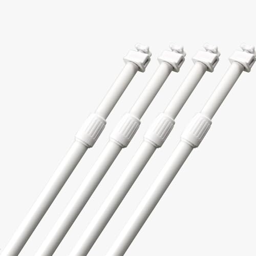 y@lK{iz ̂ڂp|[ 5m|[ 2iLk ij mNo.984n 10{Zbg