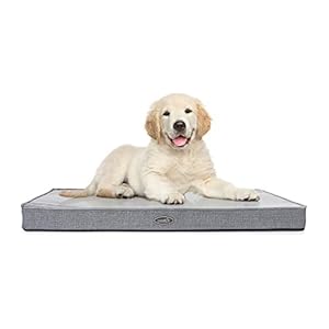 Pecute Cama Perros Ortopédica Colchón Perro Impermeable con Funda Desenfundable y Evestimiento Impermeable, Espuma Viscoelástica (M, Gris)