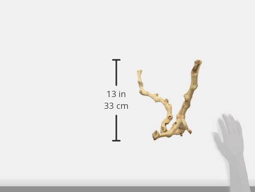 Zoo Med Sandblasted Grapevine, Medium, 12-Inch - Image 4