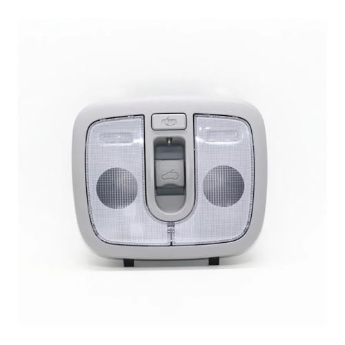 Luz de lectura Kia Rio 2012 recambio consola superior de techo solar 928101W000