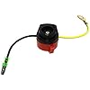 Amazon.com: On-Off Power Kill Switch for Harbor Freight Predator 212cc ...