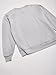Hanes Men's EcoSmart Sweatshirt, Light Steel, Medium