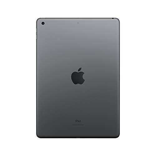 Apple iPad (10.2-inch, Wi-Fi, 32GB) - Space Grey (Previous Model, 7th Generation)