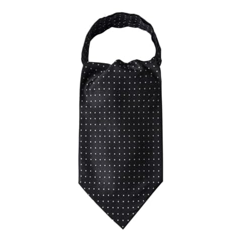 Cravate Paisley YC-7 Cover