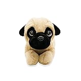 Zoom IMG-1 lb super cute lying pug Zoom IMG-1 lb super cute lying pug