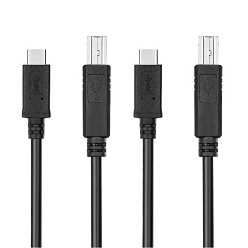 Bannik 2X USB-C USB 3.1^CvCIX - USB2.0 USB BIXf[^P[uAbvgbvv^n[hfBXNp 1m