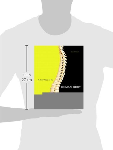 A Brief Atlas of the Human Body - Image 2