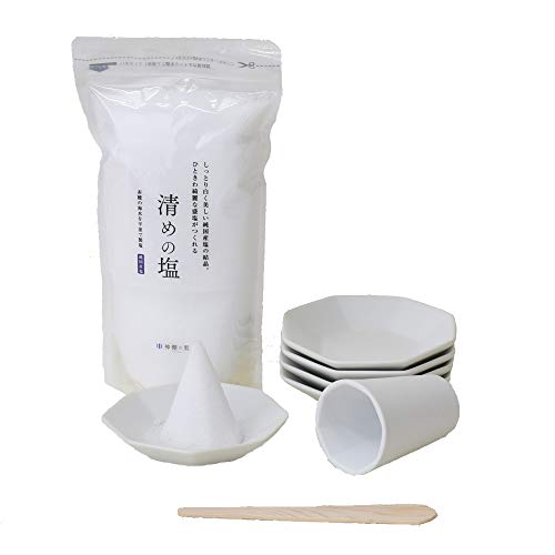 WEB d̂͂  _ _I   _l 艖 p 艖Zbg  ߂̉500t