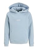 JACK & JONES Jjesoho Sweat Hood Noos Jnr