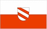hohe Farbbrillianz U24 Aufkleber Landau an der Isar Flagge Fahne 18 x 12 cm Autoaufkleber Sticker