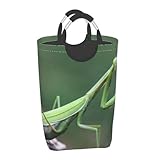 Zoom IMG-1 mantide religiosa verde cesto portabiancheria Zoom IMG-1 mantide religiosa verde cesto portabiancheria