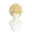Sousuke Shima Wig