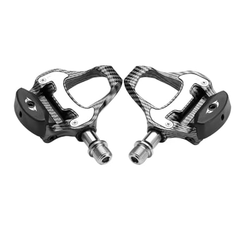 R31 [hoCNy_ t@Co[xAO bNPI ZtbN]ԃp^[ yʃvdly_p